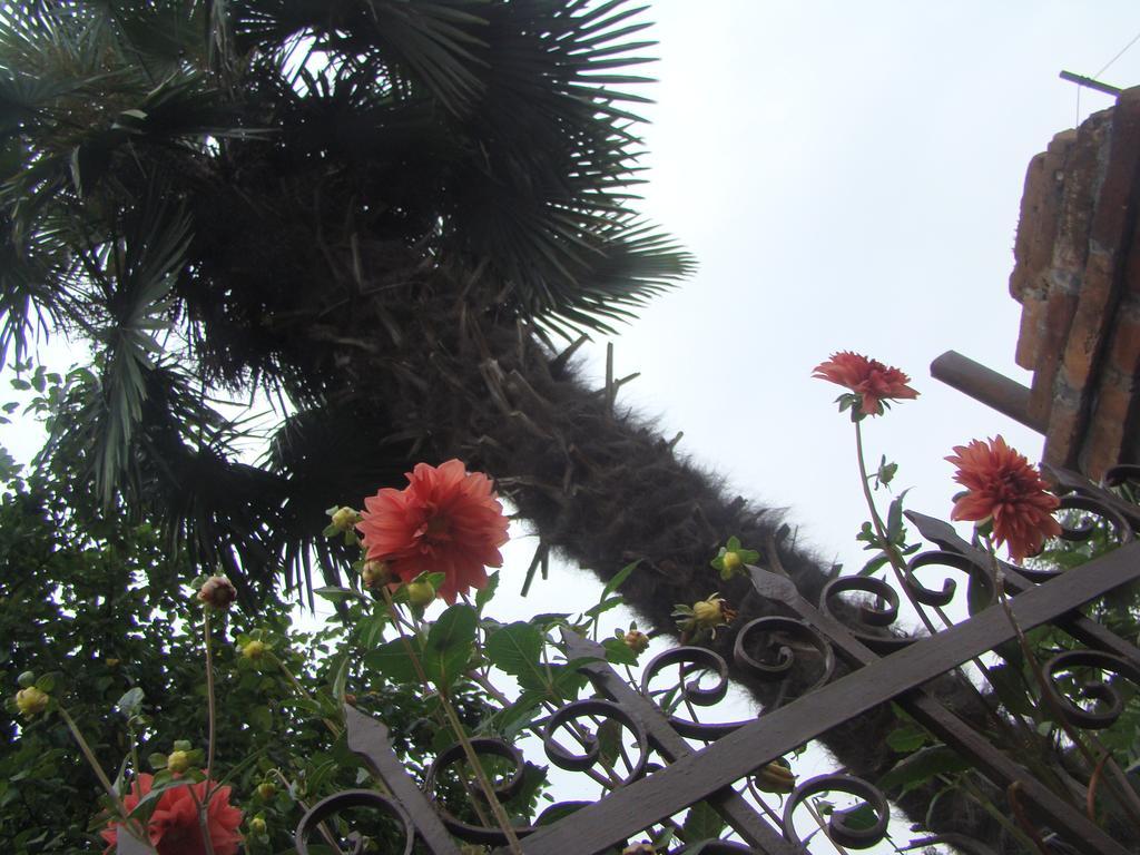 Guest House Temuri Batumi Ngoại thất bức ảnh